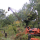 Said background diggers.